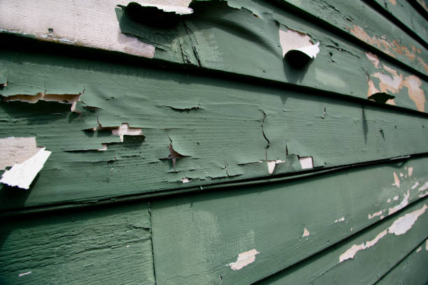 Best Siding for New Construction  in Paramount, CA