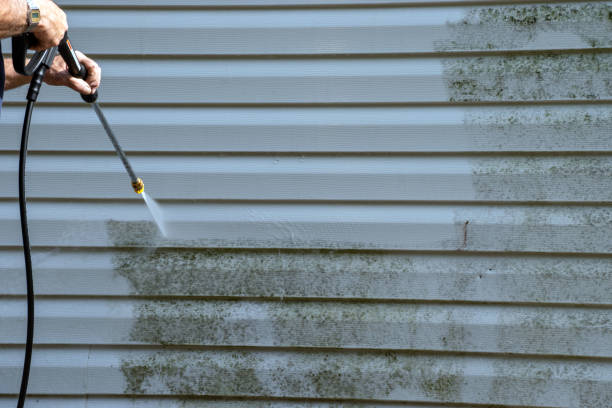 Affordable siding repair and maintenance services in Paramount, CA
